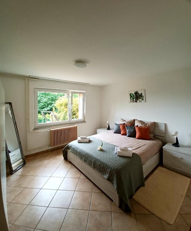 I Vallata Paradise I Free Parking - Garden&View - 10Minutes From Lugano Exterior foto
