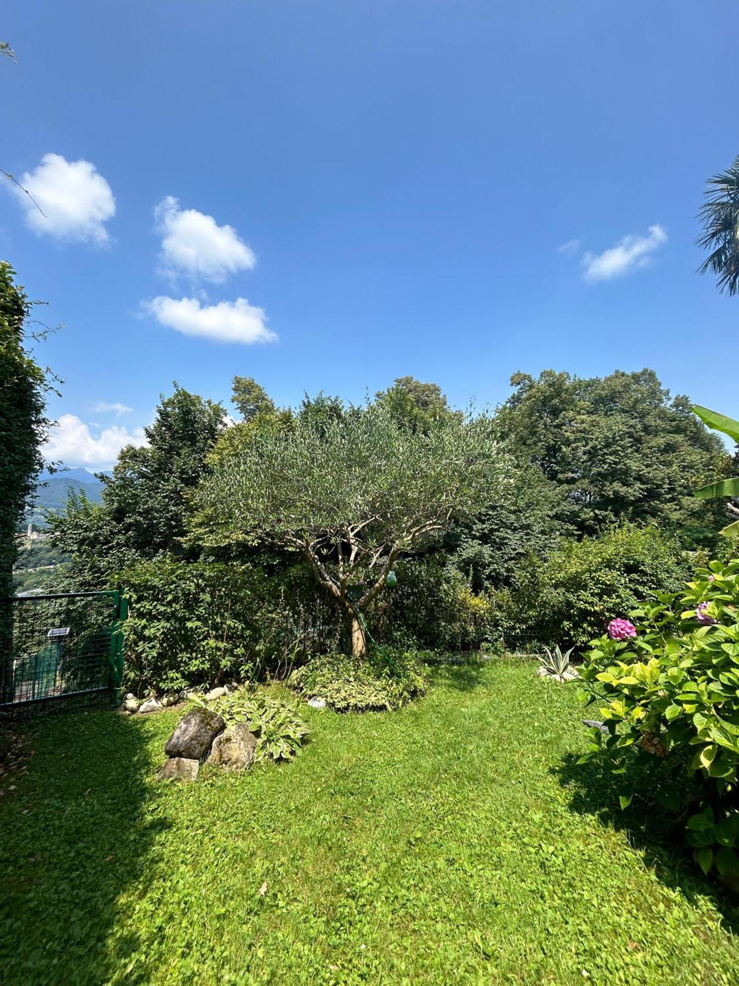 I Vallata Paradise I Free Parking - Garden&View - 10Minutes From Lugano Exterior foto